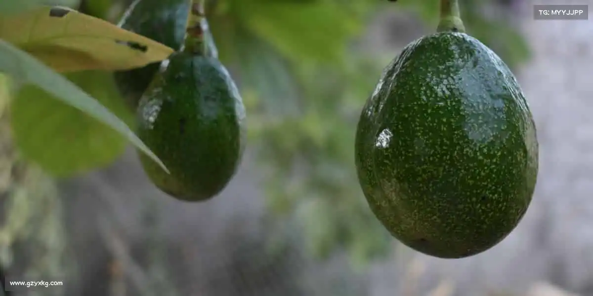 我们的品牌价值